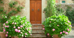 Read more about the article Front Porch Flower Ideas